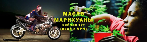 стаф Бородино