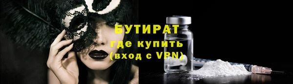 стаф Бородино