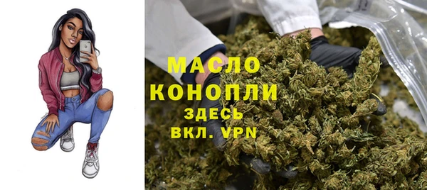 стаф Бородино