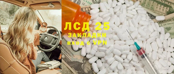 стаф Бородино