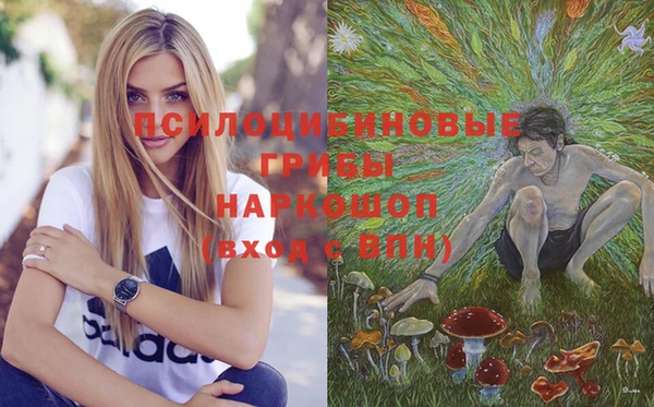 стаф Бородино