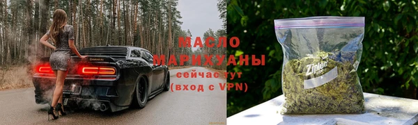 стаф Бородино